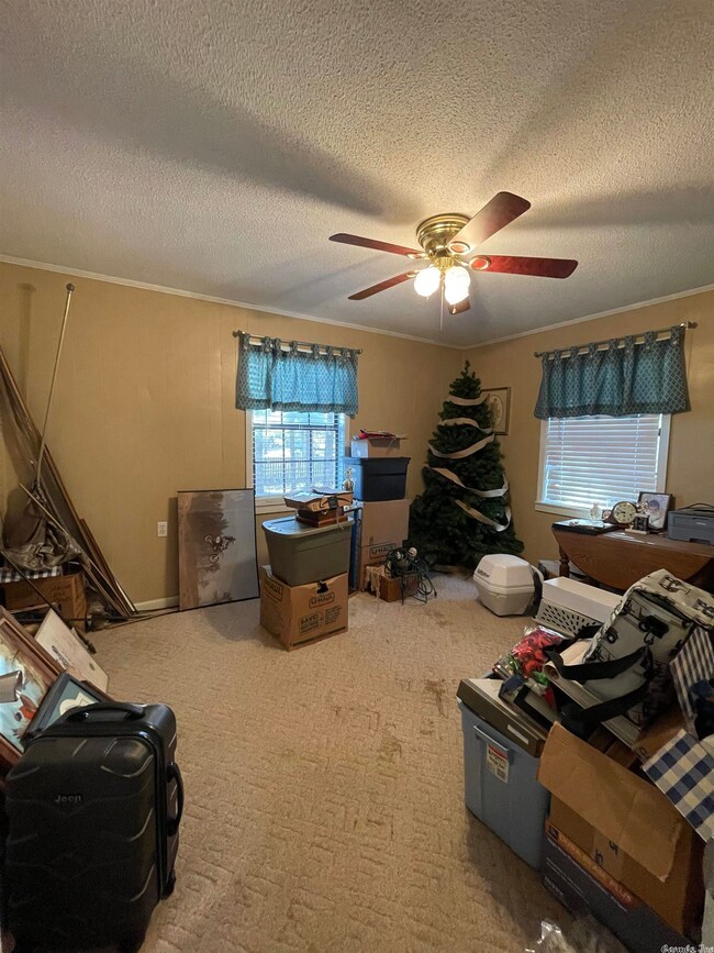 6705 Highway 135 N, Paragould, AR 72450 - photo 6