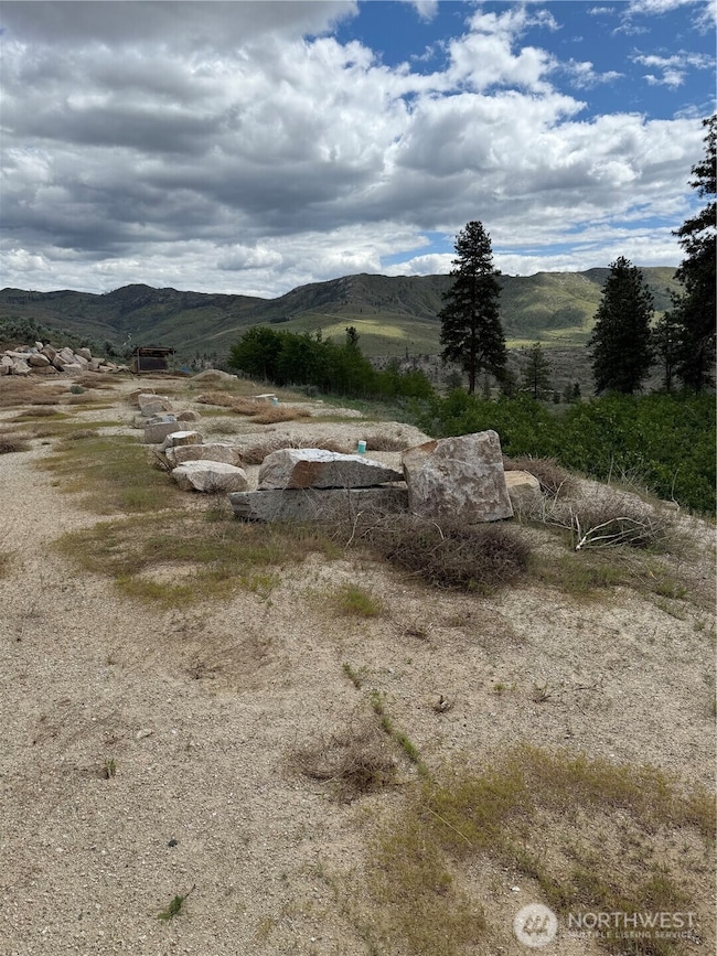 3 Ruttin Ridge Rd, Methow, WA 98834 - photo 7