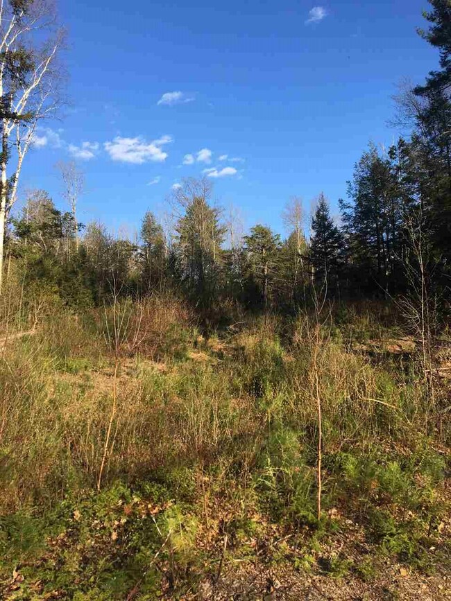 93 W Lake Rd, Fitzwilliam, NH 03447 - photo 7