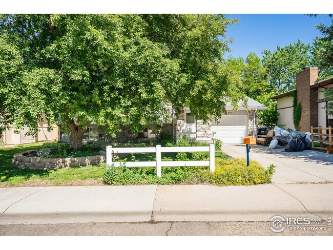 Beautiful Front Yard