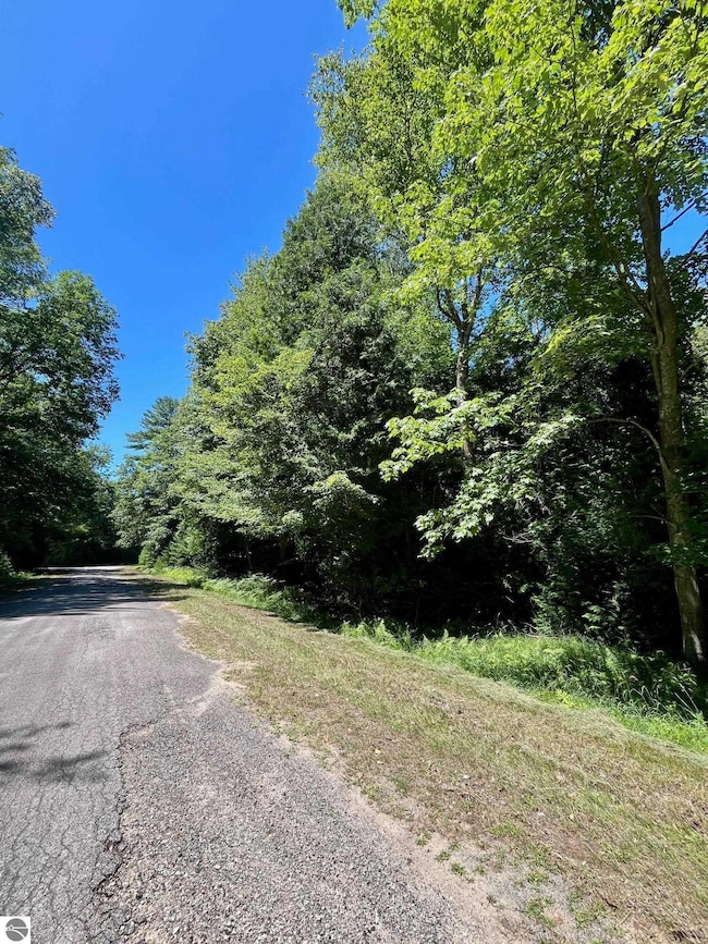 0 Concord Dr unit 131-32 1936588, Oscoda, MI 48750 - photo 2