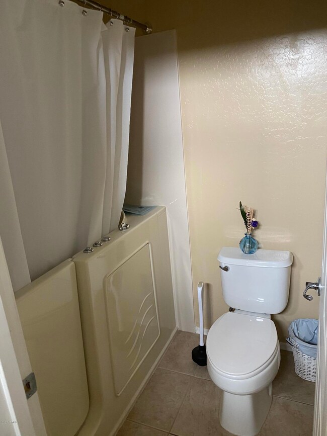 Master Bath with walk-in tub