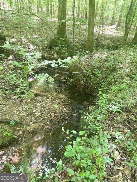 0 Benson Rd unit 10651364, Dallas, GA 30132 - photo 5