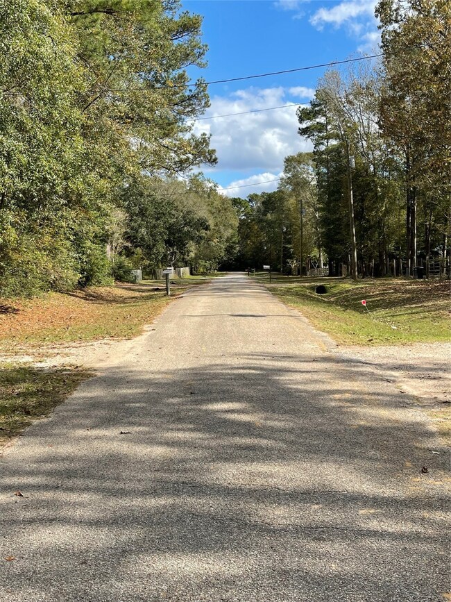 21820 Strickland Ln, Cleveland, TX 77328 - photo 5