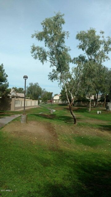 1181 N Amber St, Chandler, AZ 85225 - photo 7