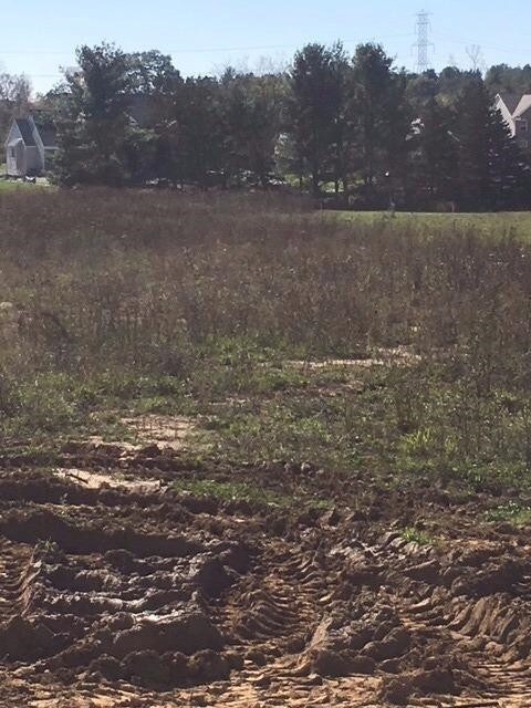 5670 Carter Ct, Dexter, MI 48130 - photo 3