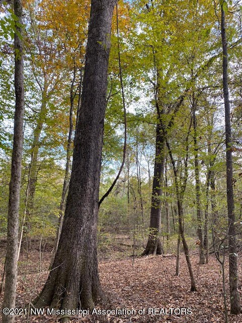 unnamed (2)