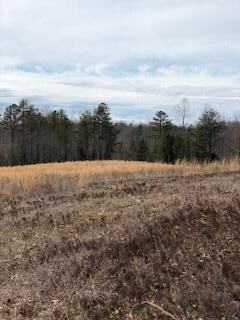 6495 1675 Hwy, Somerset, KY 42501 - photo 4