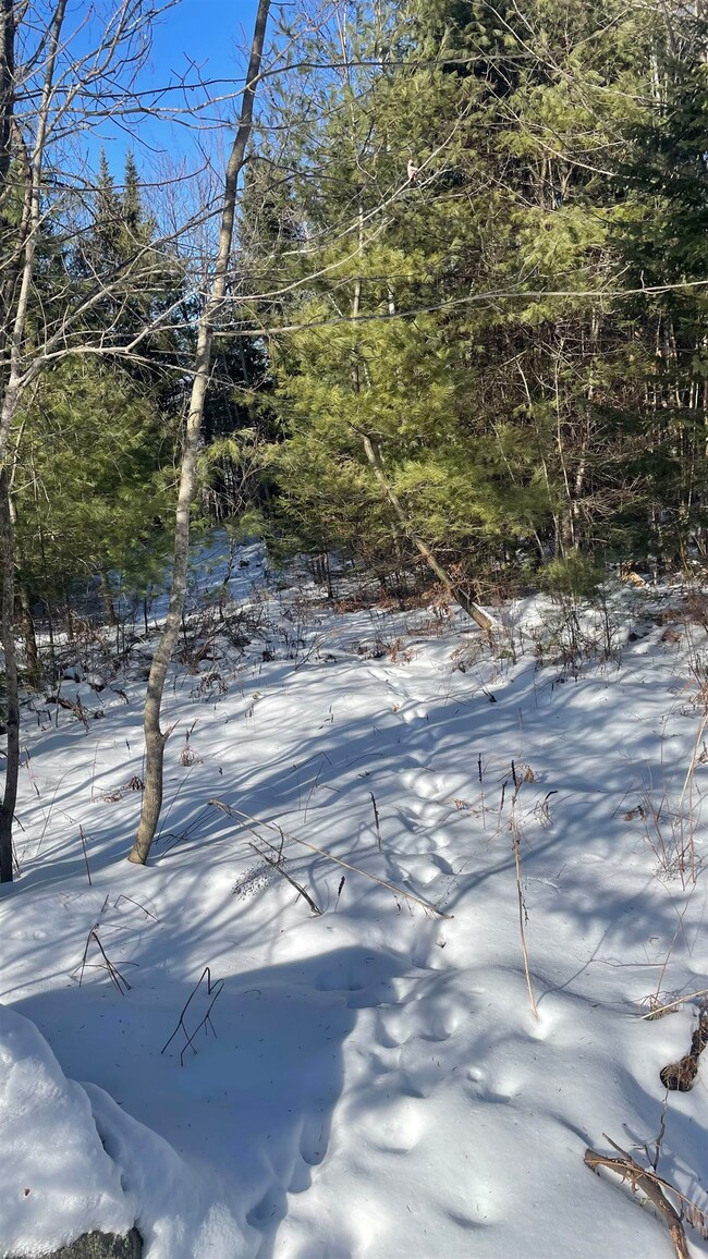 361 Old Franconia Rd, Bethlehem, NH 03574 - photo 5