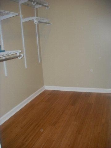 MASTER CLOSET VIEW