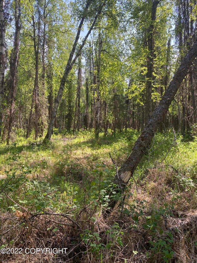 23064 W Willow Fishhook Rd, Willow, AK 99688 - photo 4