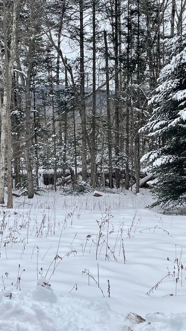 2137 N Littleton Rd, Littleton, NH 03561 - photo 2