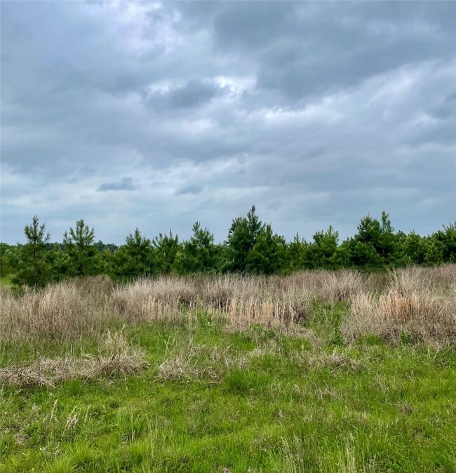 0 unit 46148677, Lovelady, TX 75851 - photo 3