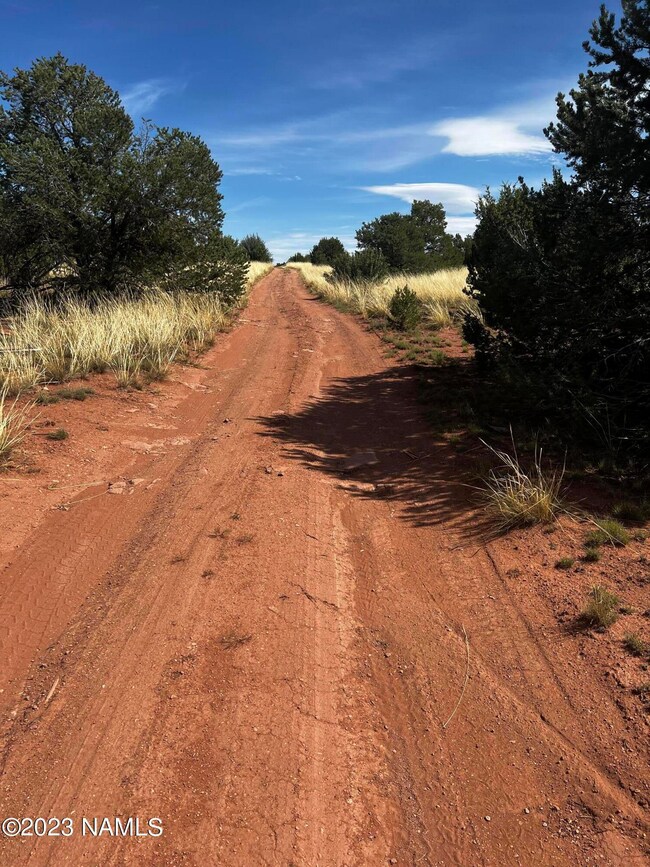 4446 Goldenrod Rd, Williams, AZ 86046 - photo 4