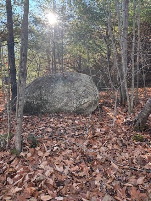 M 6, L 32 Main St, Wayne, ME 04284 - photo 3