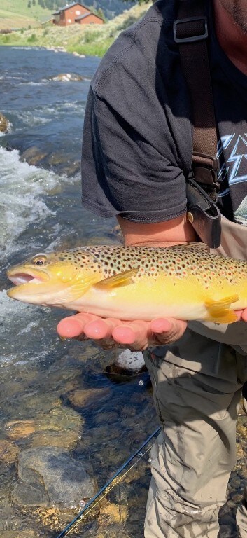 Catch of the day - less than 10 minutes away!