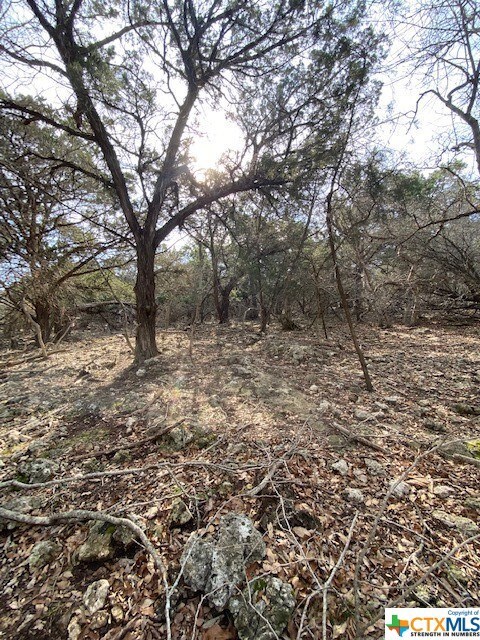 15944 Salado Dr, Temple, TX 76502 - photo 2