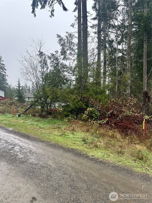 0 xxx E Wheelwright St S, Allyn, WA 98524 - photo 4