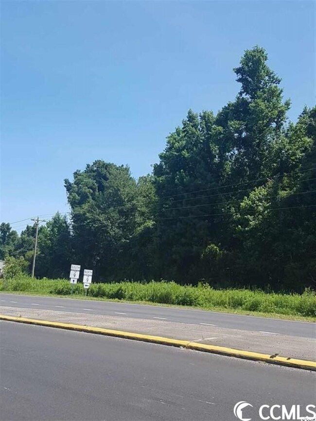TBD Highway 9 Bypass, Loris, SC 29569 - photo 6