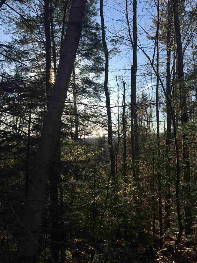 121 Webb Hill Rd, Fitzwilliam, NH 03447 - photo 6