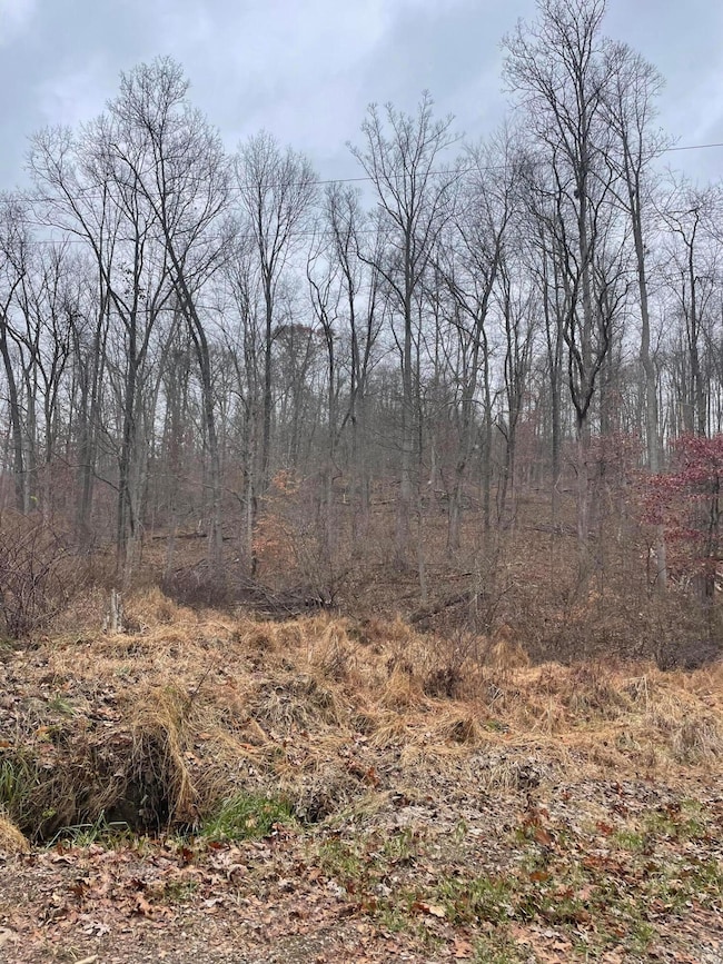 0 McKee Hill Rd unit 225044478, Frazeysburg, OH 43822 - photo 7