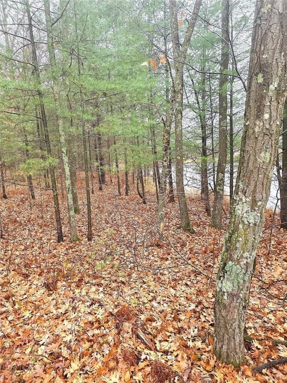 00 15th St, Johnstown, WI 54826 - photo 5