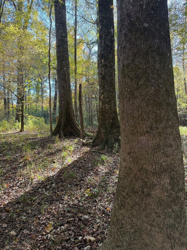 0 Highway 19 unit 25580670, Kosciusko, MS 39090 - photo 3