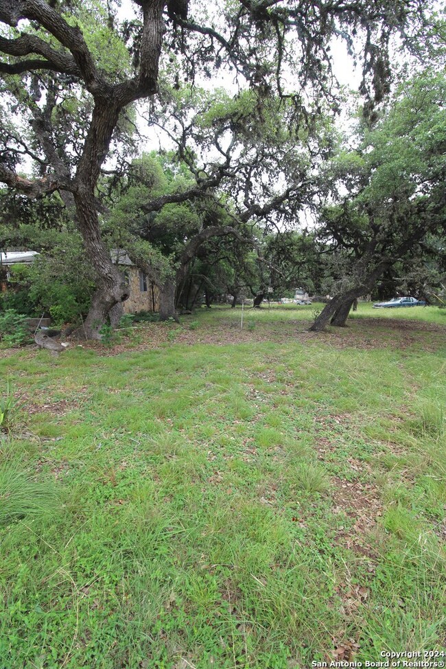 25430 Triangle Loop, San Antonio, TX 78255 - photo 3