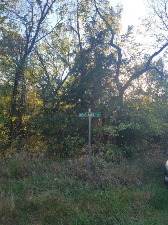 149 Rose Marie Dr, Linn Valley, KS 66040 - photo 3