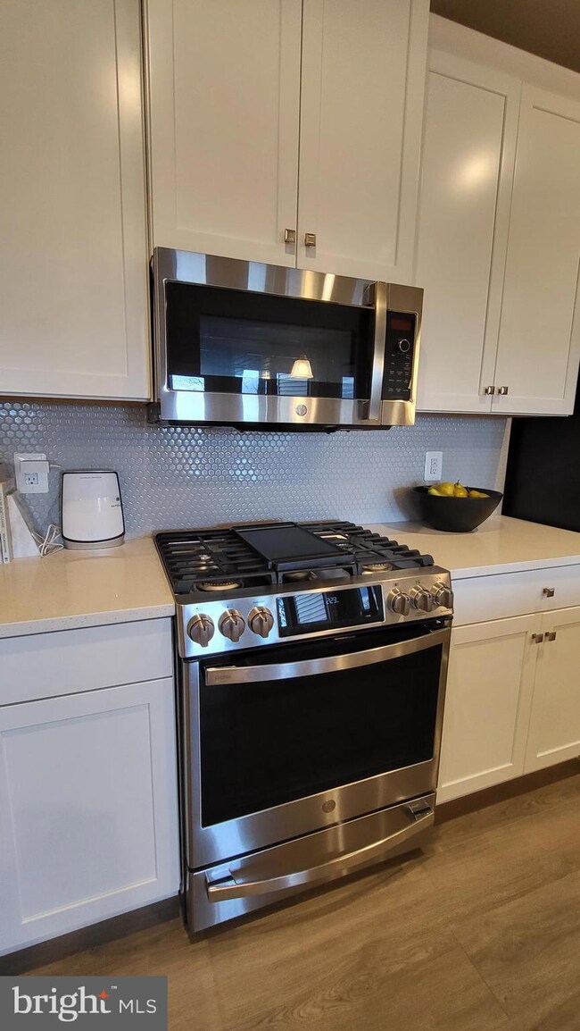 46320 Mount Milstead Terrace unit 102, Sterling, VA 20164 - photo 3