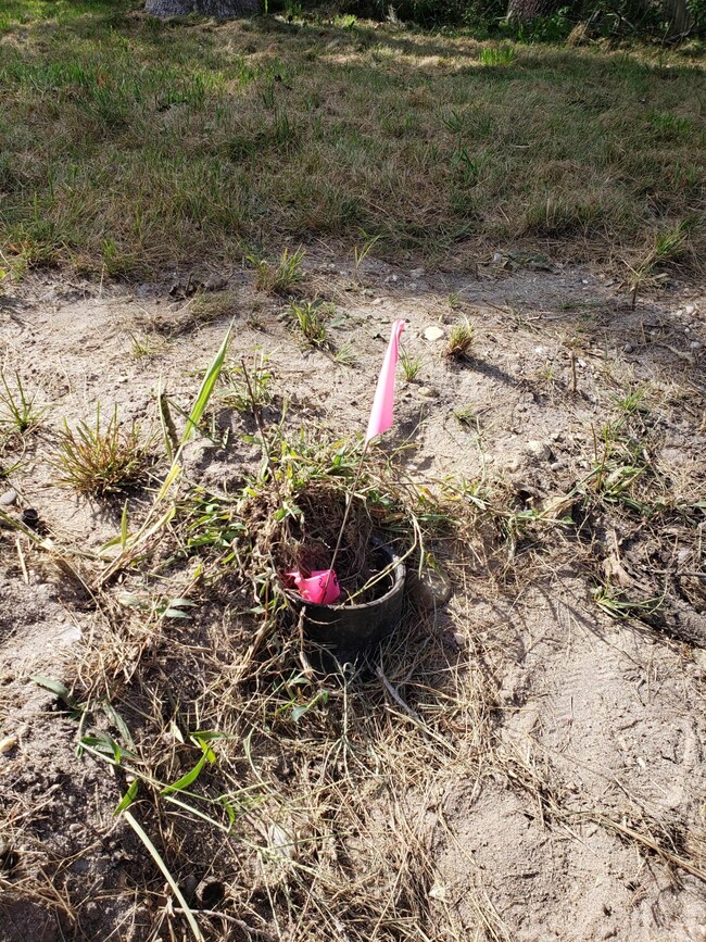 18 Pilgrim Rd, Edgartown, MA 02539 - photo 6