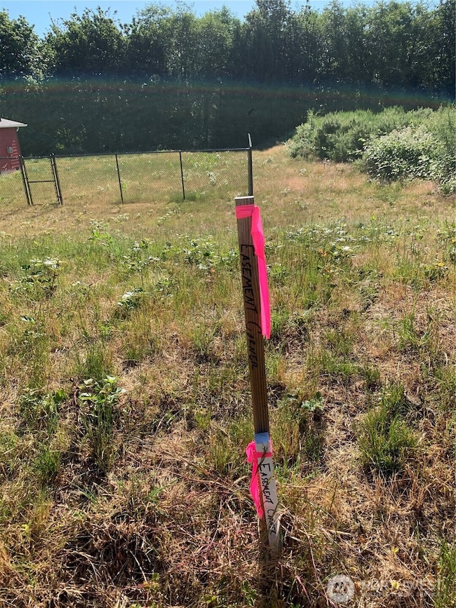 Property line before clearing