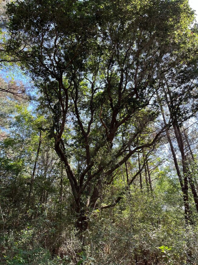 22091 Bryantwood Ct, Hockley, TX 77447 - photo 5