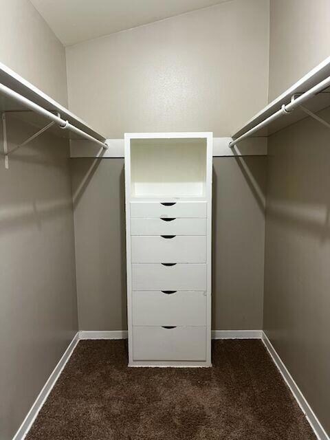 Walk in closet featuring dark colored carpet
