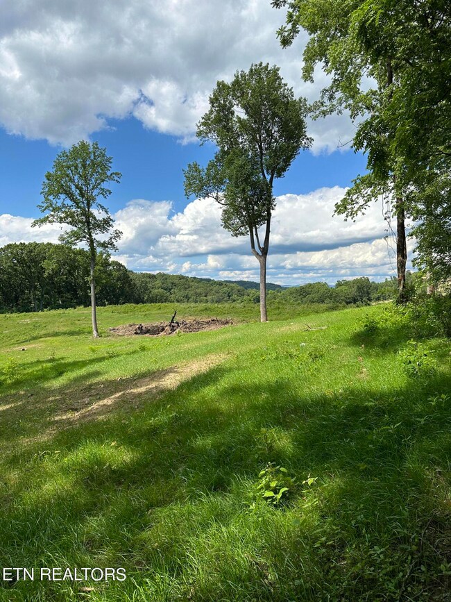 TBD Rd, Morristown, TN 37814 - photo 6