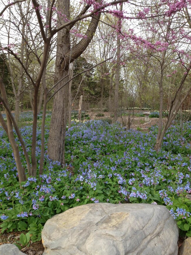 0 Grove St, Harrisonburg, VA 22801 - photo 4