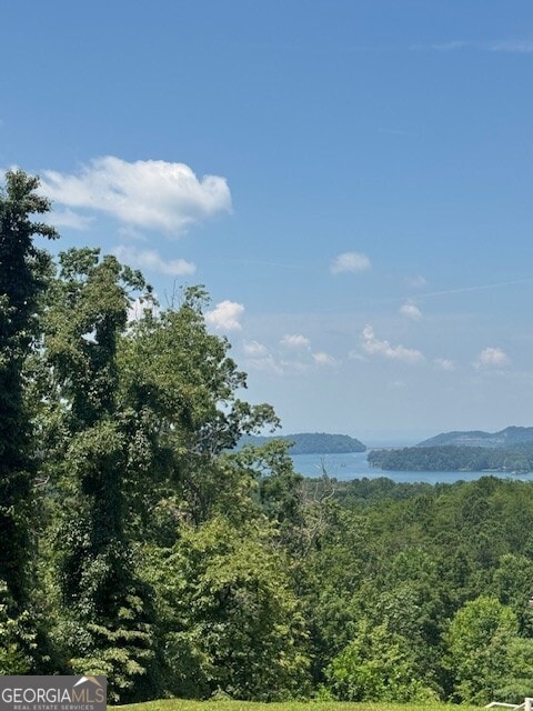 0 Carters View Dr unit 10660868, Ellijay, GA 30540 - photo 4