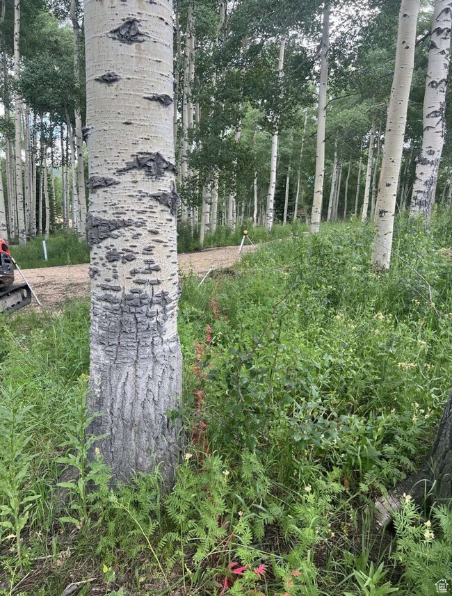 4410 S Fawn Way unit 2038, Heber City, UT 84032 - photo 3