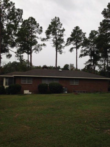 Back yard