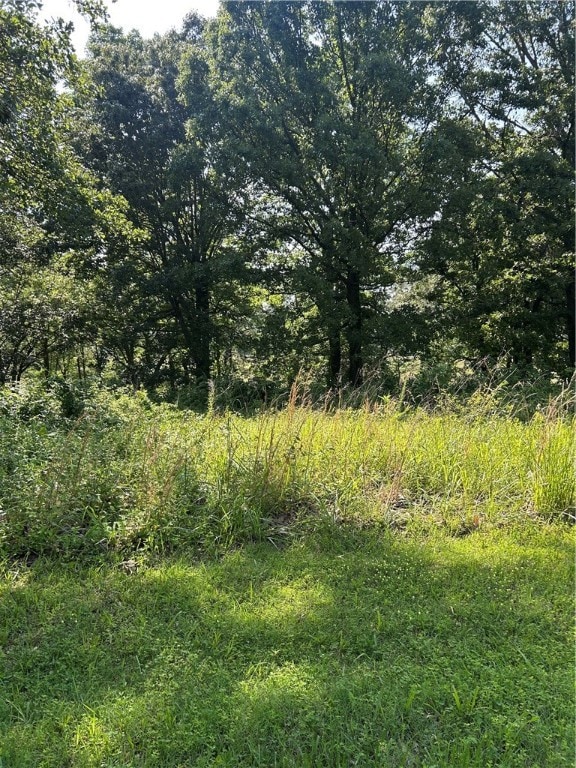 4019 Savannah Dr, Harrison, AR 72601 - photo 3