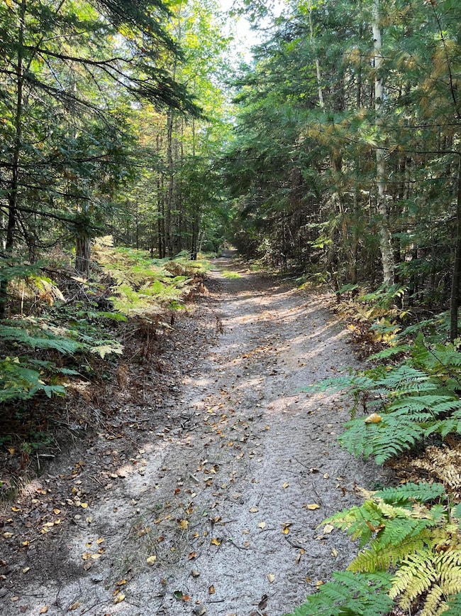 000 S Hendrie River Rd, Hulbert Township, MI 49748 - photo 2