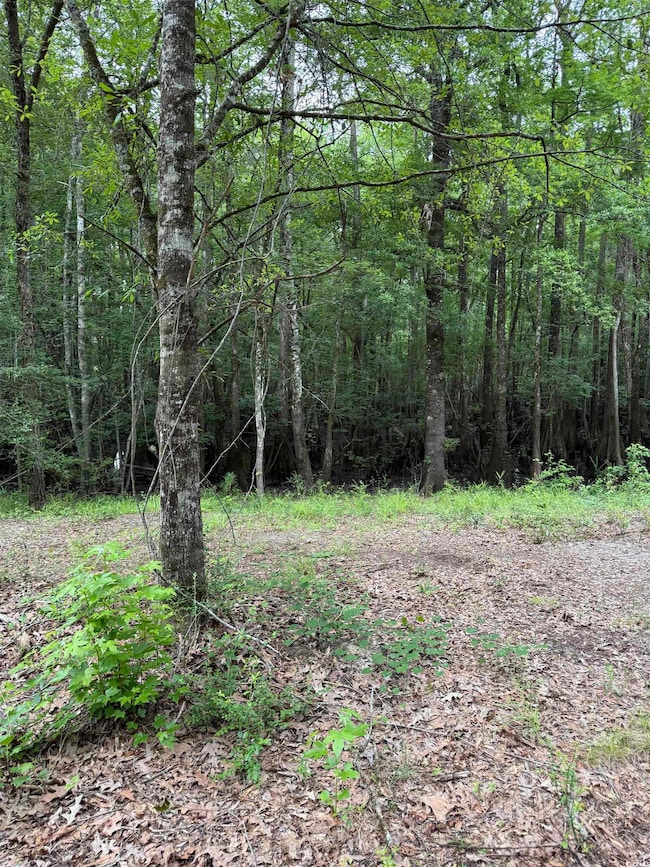 TBD Lot 20 Duck Island Rd unit Duck Island Rd, Gresham, SC 29546 - photo 7