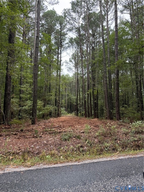 0 Ditchley Dr unit 2533088, Gloucester, VA 23061 - photo 3