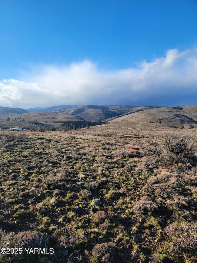 NKA Cowiche Mill Rd, Yakima, WA 98908 - photo 6