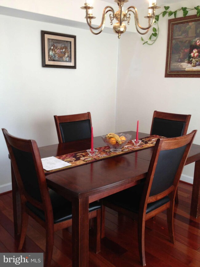 14302 Rosetree Ct, Silver Spring, MD 20906 - photo 3