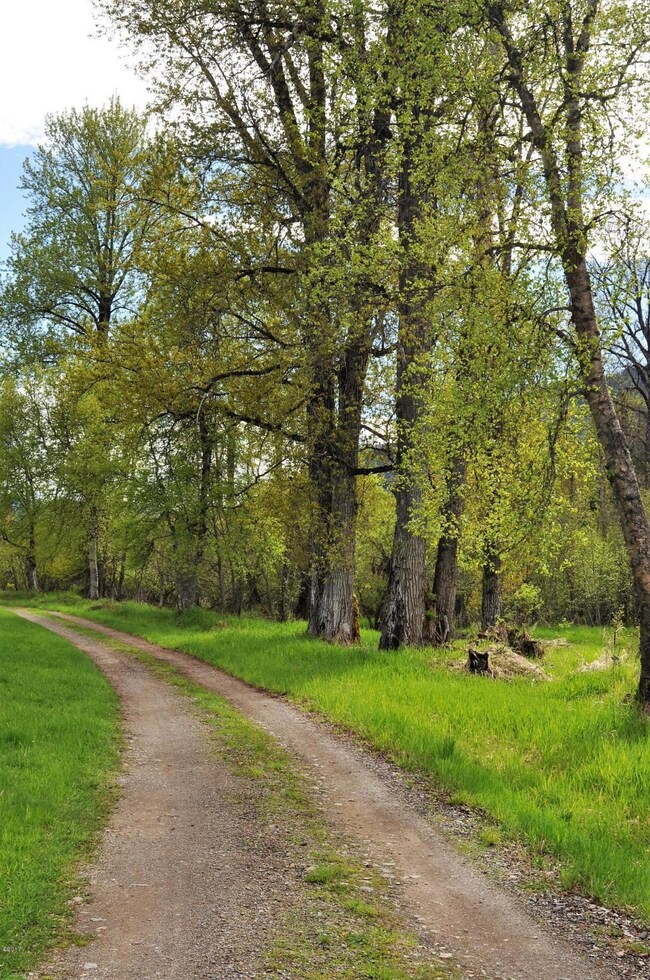 64 Solid Rock Rd, Noxon, MT 59853 - photo 7