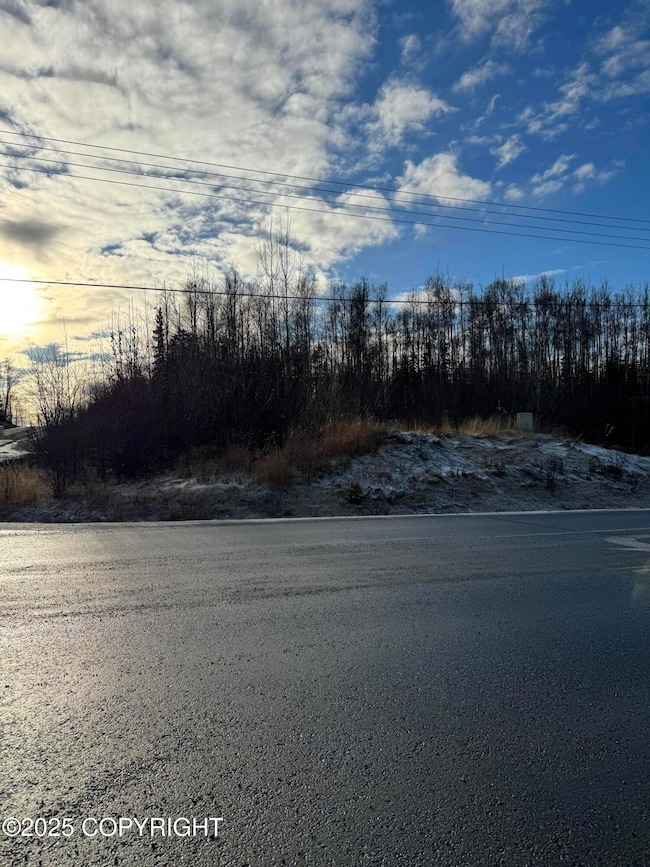 4284 S Burma Rd, Wasilla, AK 99654 - photo 3