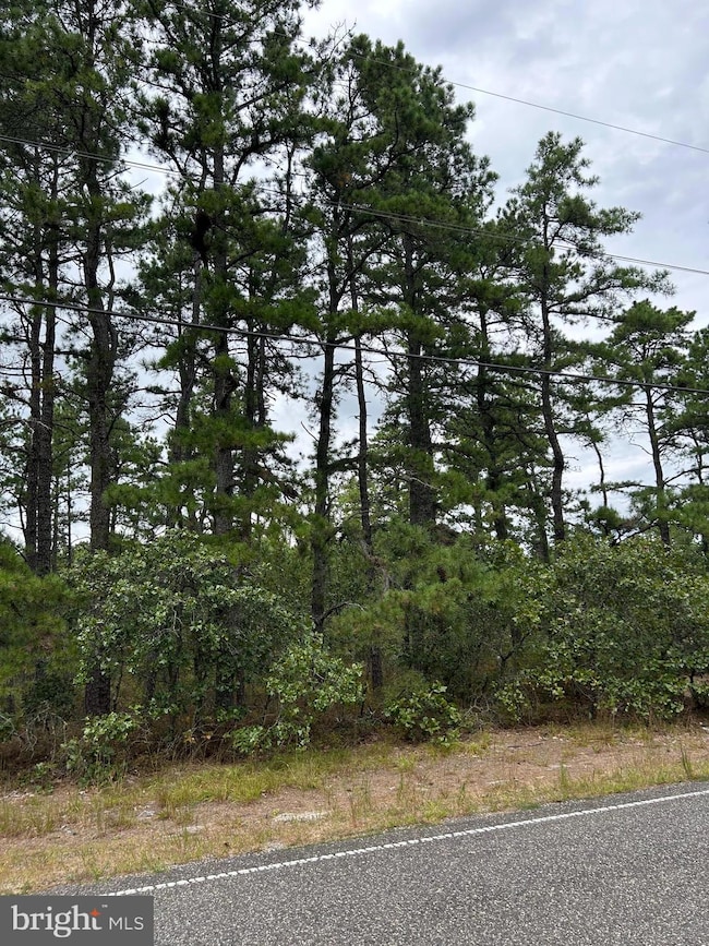 0 Savoy Blvd unit NJBL2096132, Chatsworth, NJ 08019 - photo 2