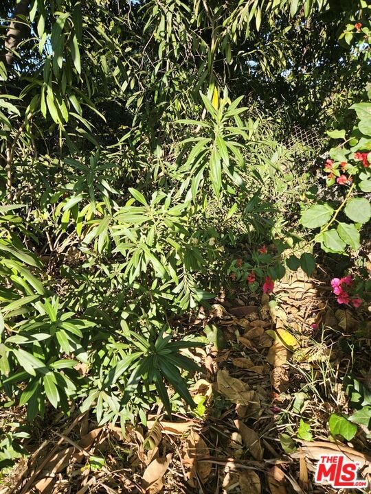 4299 Madison Ave, Culver City, CA 90232 - photo 2