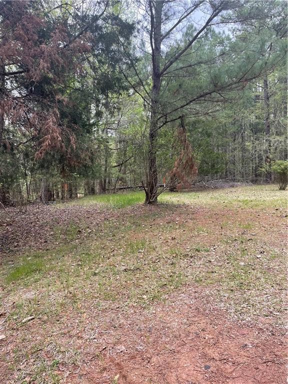 View of yard featuring a forest view